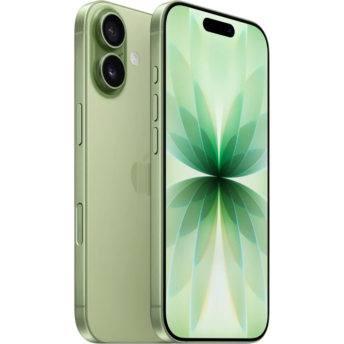 iPhone 17 256GB